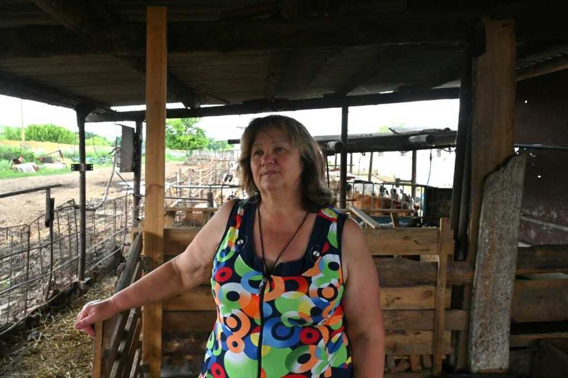 It was a 'nightmare' recalls owner Lyubov Zlobina, 62, who says she is 'haunted by the howls of cows burned alive' during the attacks on March 26