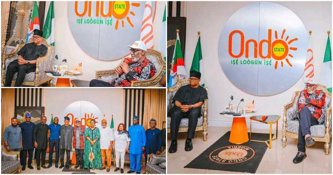 Peter Obi, 2023 election, Femi Fani-Kayode, APC, Governor Rotimi Akeredolu, Ondo state, Amotekun Corps Peter Obi, 2023 election, Femi Fani-Kayode, APC, Governor Rotimi Akeredolu, Ondo state, Amotekun Corps