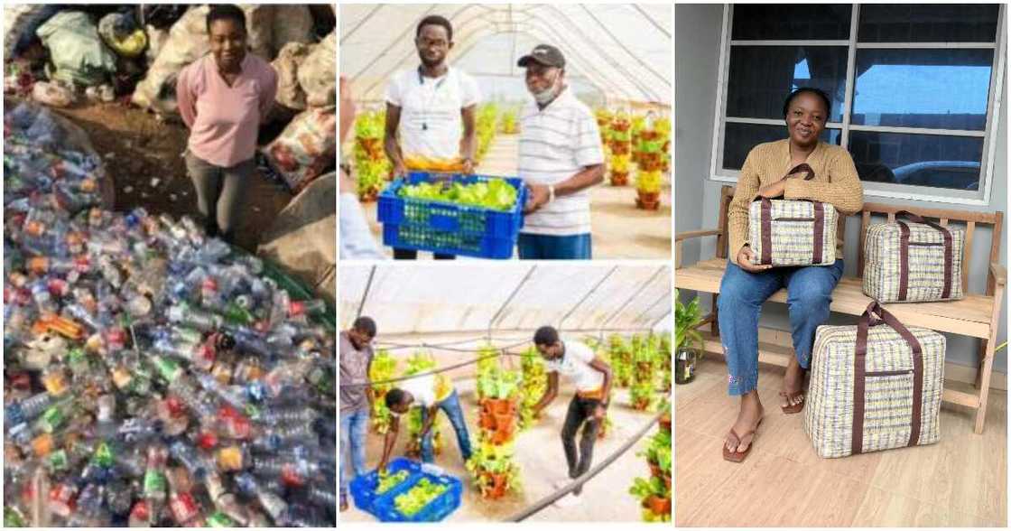 Adejoke Lasisi, farmer Samson Ogbole, Ogechi Nwonye-Bernard