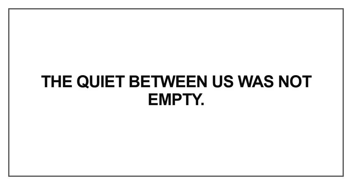 The quiet between us was not empty The quiet between us was not empty