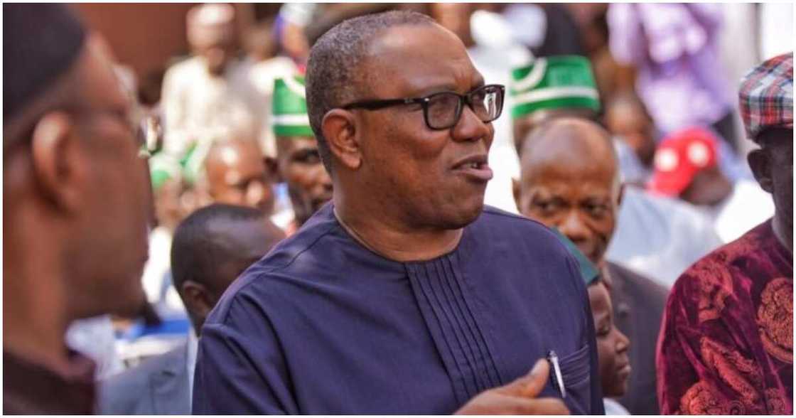Labour Party, Peter Obi, consumption to production theory, federal borrowing Labour Party, Peter Obi, consumption to production theory, federal borrowing