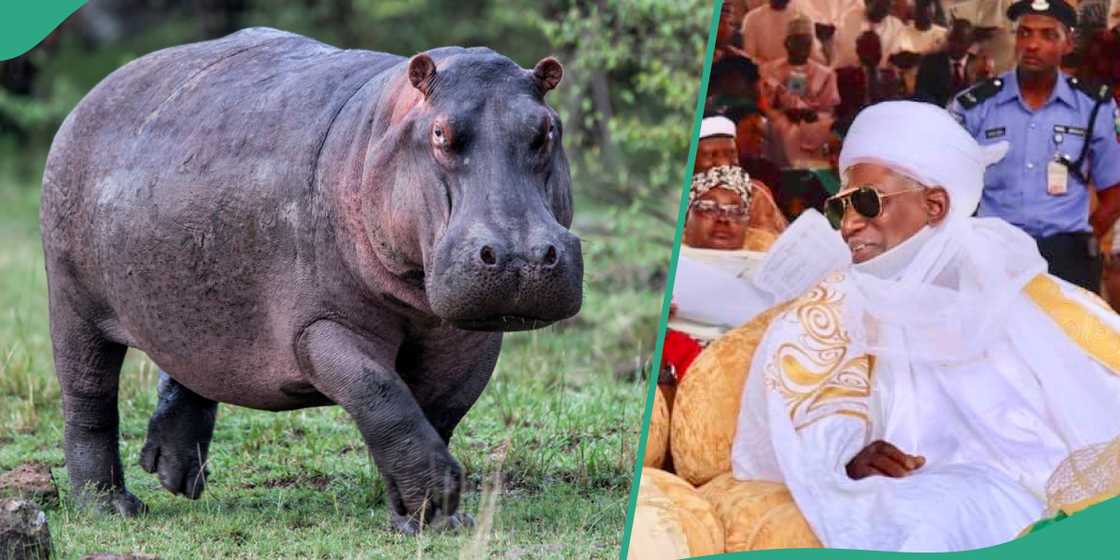 Dorinar ruwa ta yi ajalin dogarin sarki a Kebbi Dorinar ruwa ta yi ajalin dogarin sarki a Kebbi