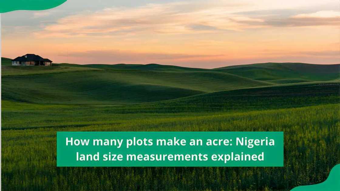 how many plots make one hectare how many plots make one hectare