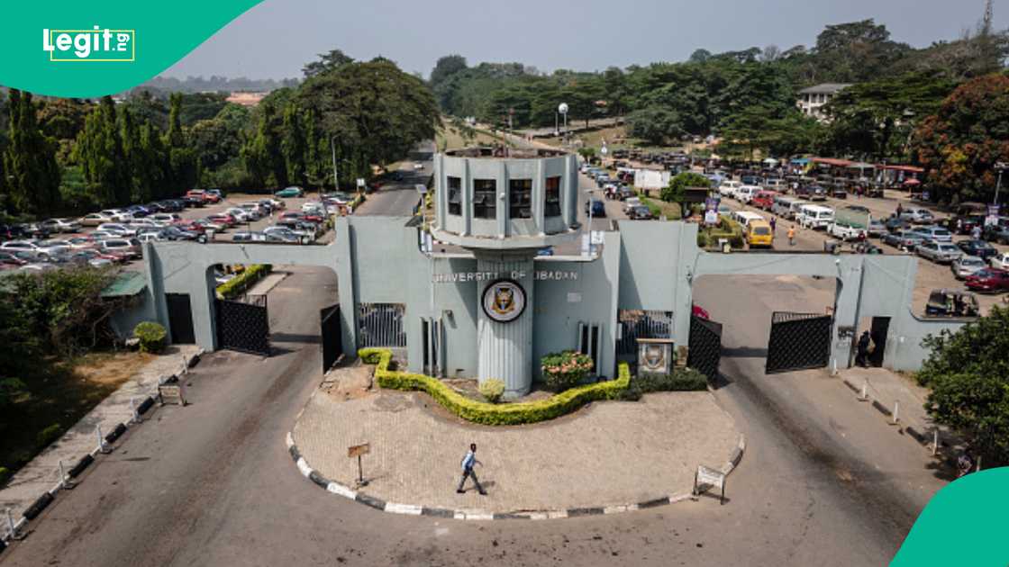 7 prominent Nigerians who finished from University of Ibadan and the courses they studied