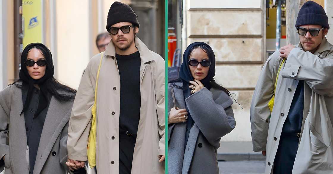Harry Styles and Zoë Kravitz walk side by side Harry Styles and Zoë Kravitz walk side by side