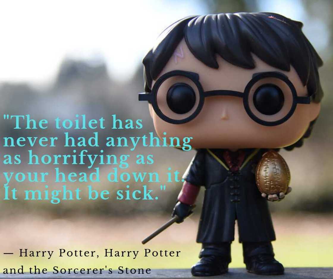 Funny Harry Potter quotes Funny Harry Potter quotes