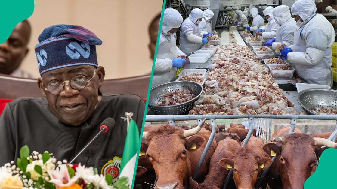 FG youth empowerment initiative targets 1000 youths in each state, details emerge. FG youth empowerment initiative targets 1000 youths in each state, details emerge.