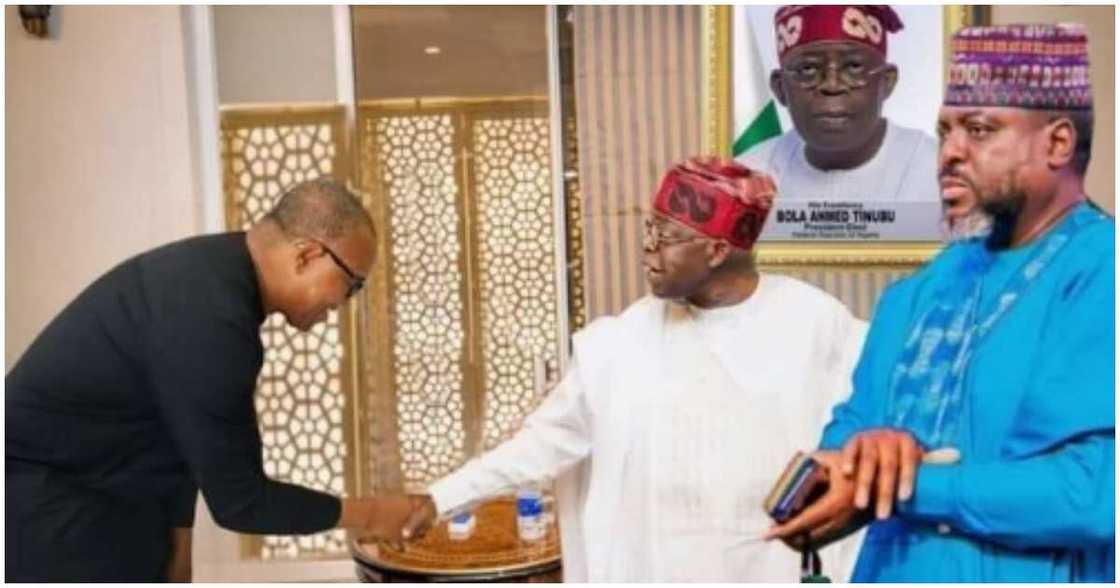 Peter Obi/Peter Obi news/Peter Obi news today/Peter Obi news now/Bola Tinubu/Latest about Bola Tinubu Peter Obi/Peter Obi news/Peter Obi news today/Peter Obi news now/Bola Tinubu/Latest about Bola Tinubu