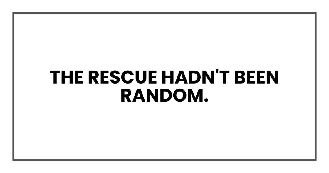The rescue hadn't been random. The rescue hadn't been random.