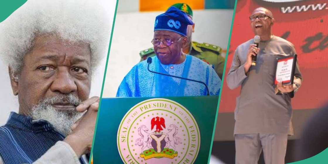 President Bola Tinubu names Arterial Road N20 from Northern Parkway to Outer Northern Expressway (ONEX) after Wole Soyinka President Bola Tinubu names Arterial Road N20 from Northern Parkway to Outer Northern Expressway (ONEX) after Wole Soyinka