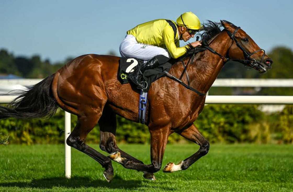 christophe soumillon christophe soumillon