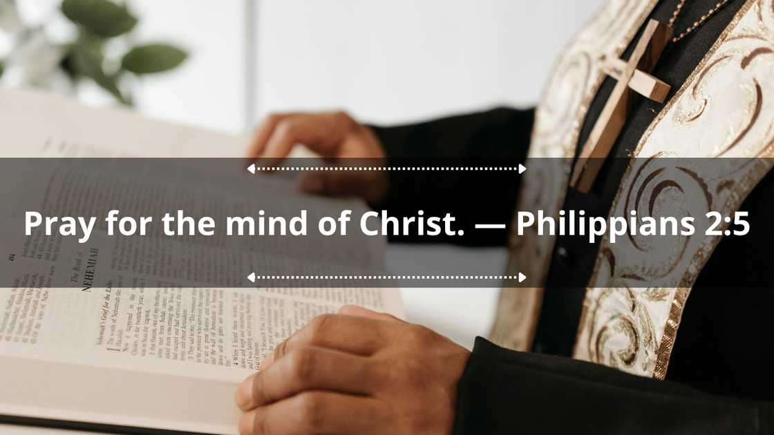 Renewing your mind scriptures