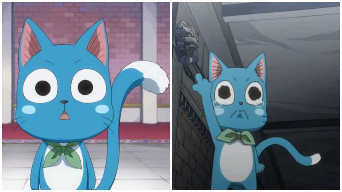 anime kittens anime kittens