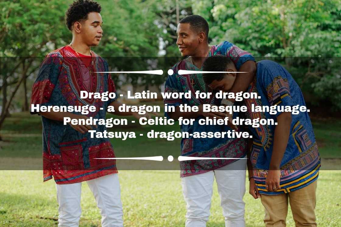 Famous male dragon names Famous male dragon names