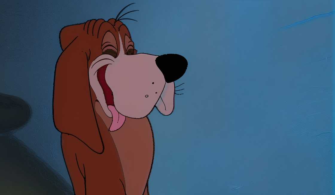 An illustration of Cinderella's dog, Bruno laughing An illustration of Cinderella's dog, Bruno laughing