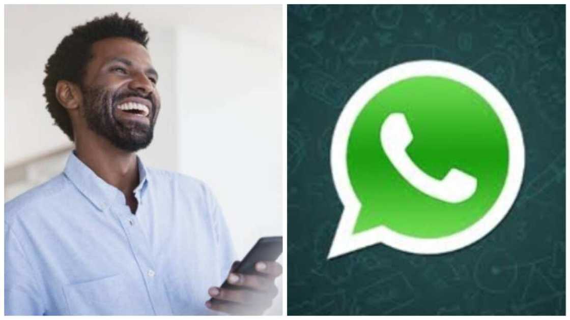WhatsaApp/Meta/WhatsApp messenger/WhatsApp updates WhatsaApp/Meta/WhatsApp messenger/WhatsApp updates