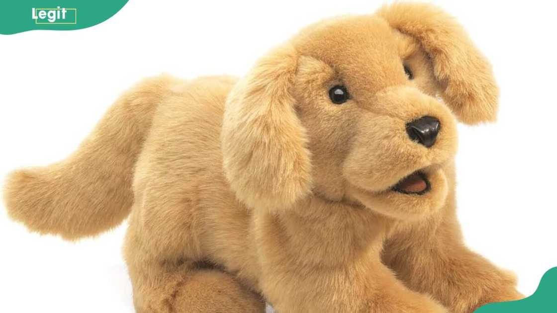 Folkmanis Golden Retriever Puppets Folkmanis Golden Retriever Puppets