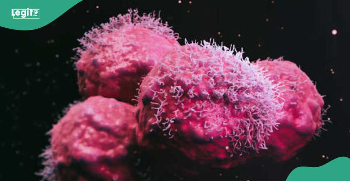 Cutar daji a Najeriya Cutar daji a Najeriya