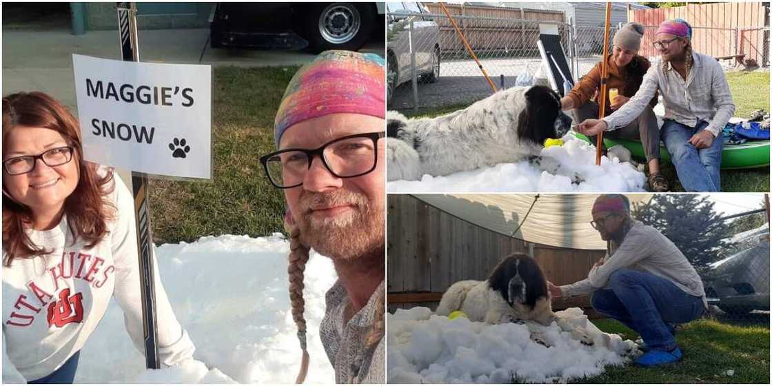 Maggie's last day was memorable Maggie's last day was memorable