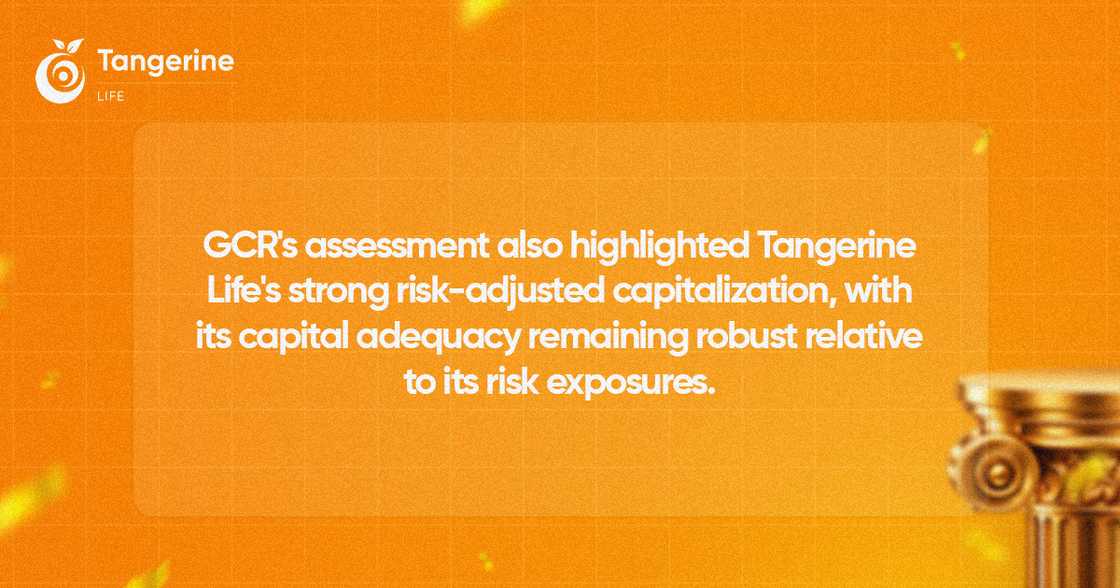 Tangerine Life Insurance Global Credit Rating: A Score! Tangerine Life Insurance Global Credit Rating: A Score!