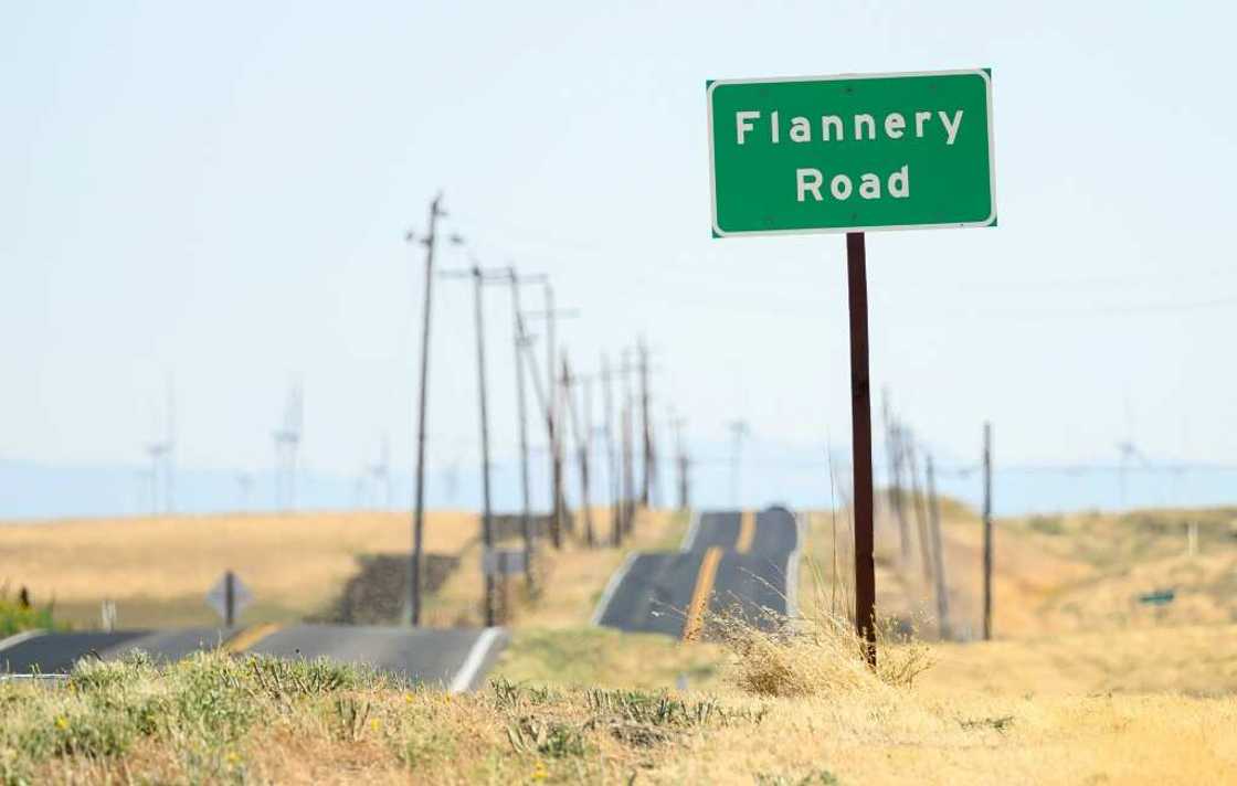 Swaths of rural land between San Francisco and Sacramento, in the western US state of California, were secretly purchased by tech tycoons keen on building a new city Swaths of rural land between San Francisco and Sacramento, in the western US state of California, were secretly purchased by tech tycoons keen on building a new city