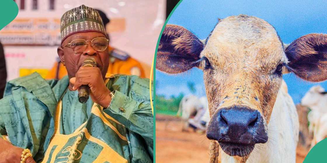 Livestock pens are now left empty after raids by bandits from neighbouring Katsina.