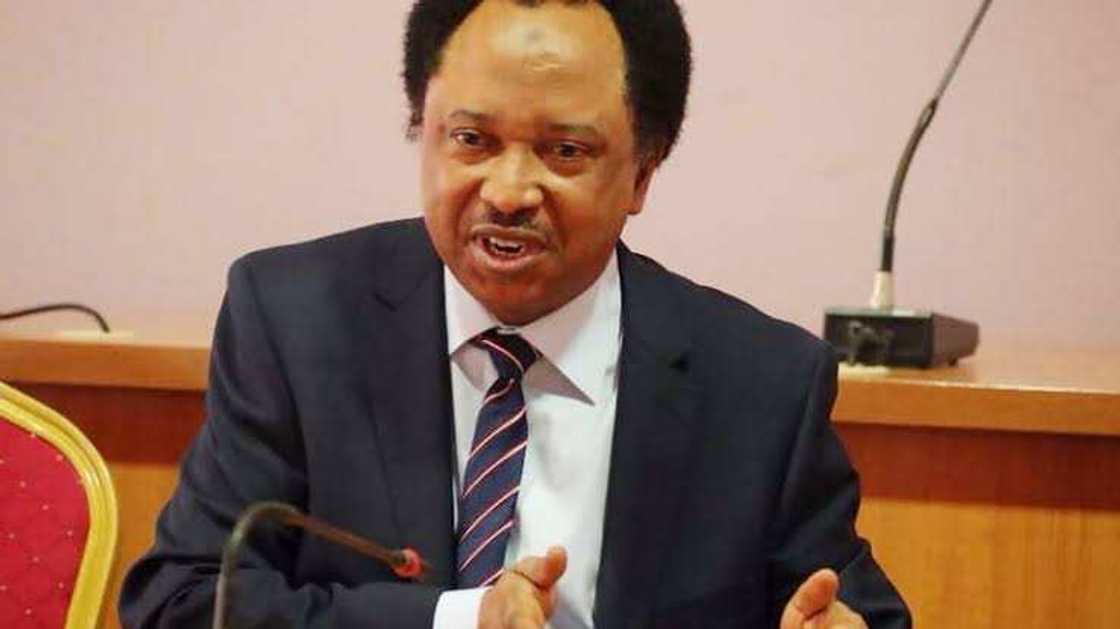 Shehu Sani Shehu Sani