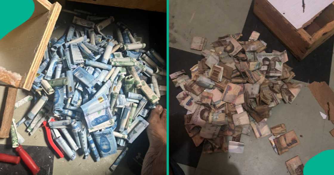 Lady who kept N1k daily to pay her rent shows off huge cash at the end of year.