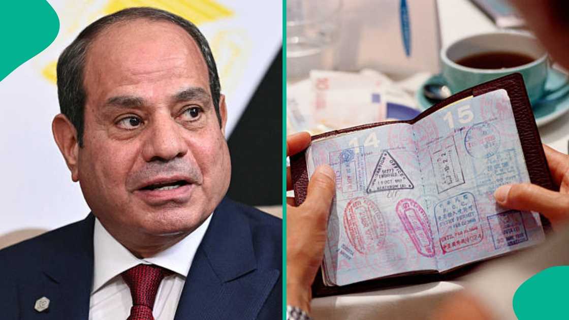 The Egyptian Consulate General has published an updated breakdown of visa guidelines. The Egyptian Consulate General has published an updated breakdown of visa guidelines.