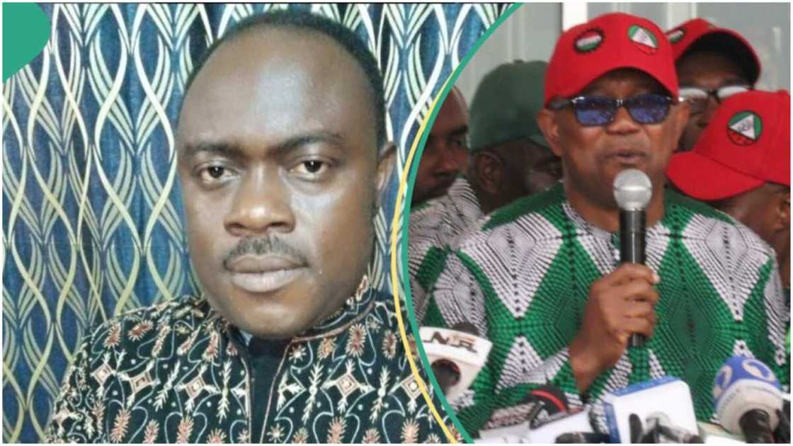 Peter Obi/Prophet David Kingleo Elijah/Supreme Court/Presidential Election Petition Court/PEPC/Anambra Peter Obi/Prophet David Kingleo Elijah/Supreme Court/Presidential Election Petition Court/PEPC/Anambra