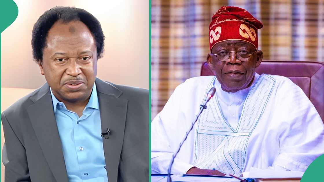 Alleged lopsided appointments: Shehu Sani sends message to Tinubu Alleged lopsided appointments: Shehu Sani sends message to Tinubu