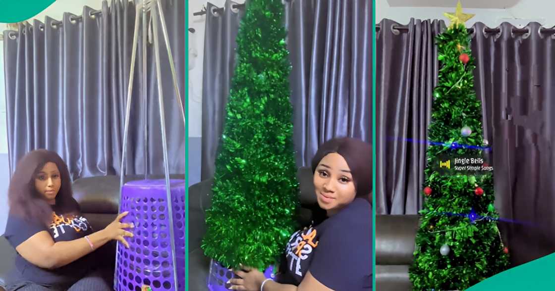 Lady trends on social media over her DIY Christmas tree and how much she spent.