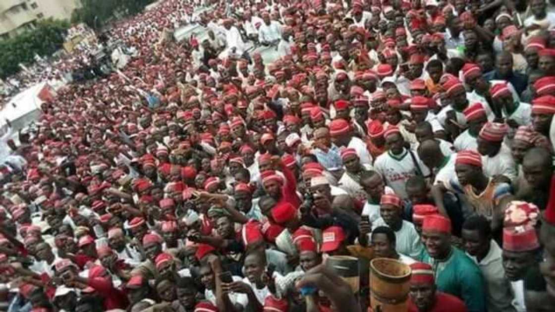 Kwankwasiyya Kwankwasiyya