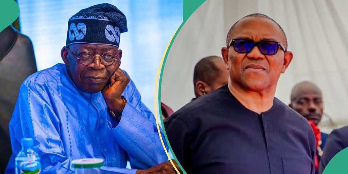 Tribunal judgement/Peter Obi vs Tinubu/Tinubu vs Obi Tribunal judgement/Peter Obi vs Tinubu/Tinubu vs Obi