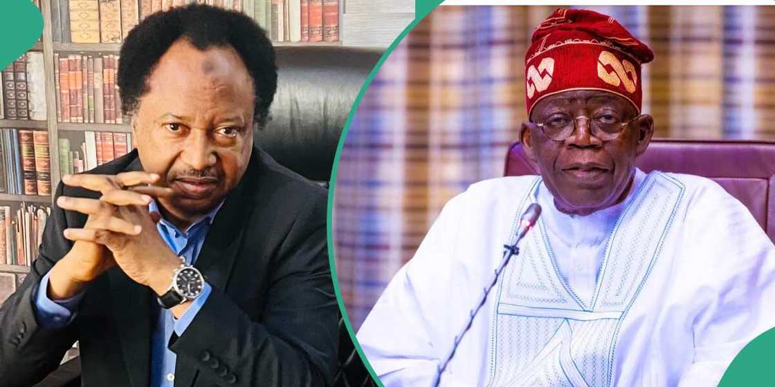 Shehu Sani ya nuna damuwa kan shirin cire tallafin lantarki