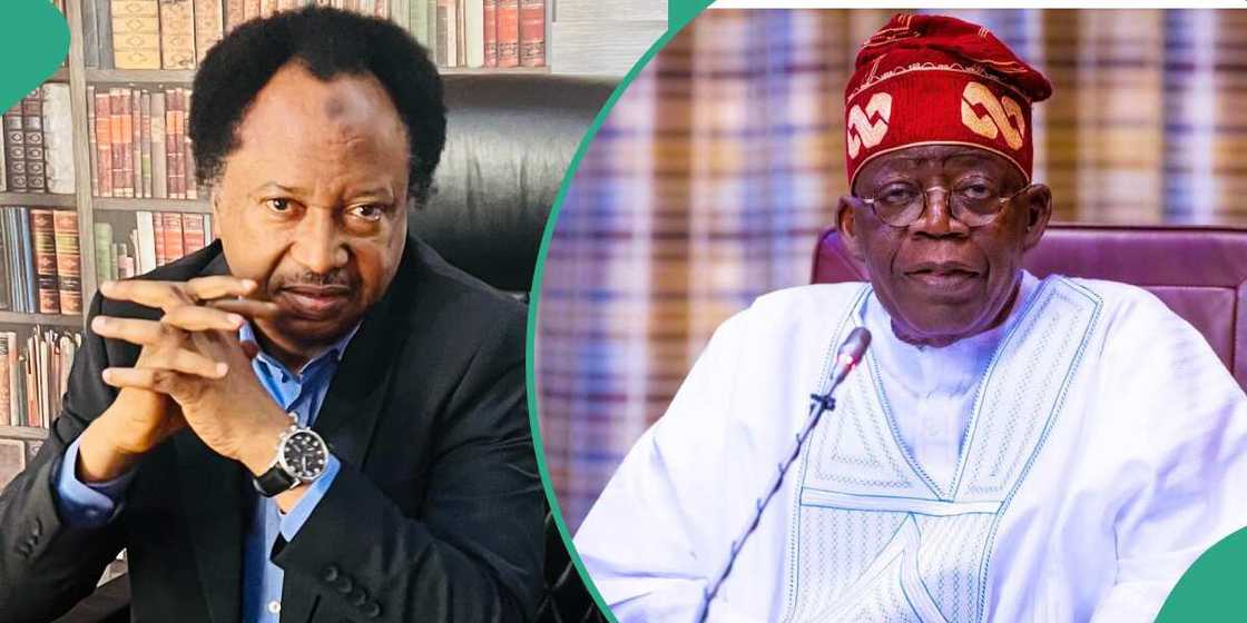 Shehu Sani, FG, Tinubu, Electricity subsidy Shehu Sani, FG, Tinubu, Electricity subsidy