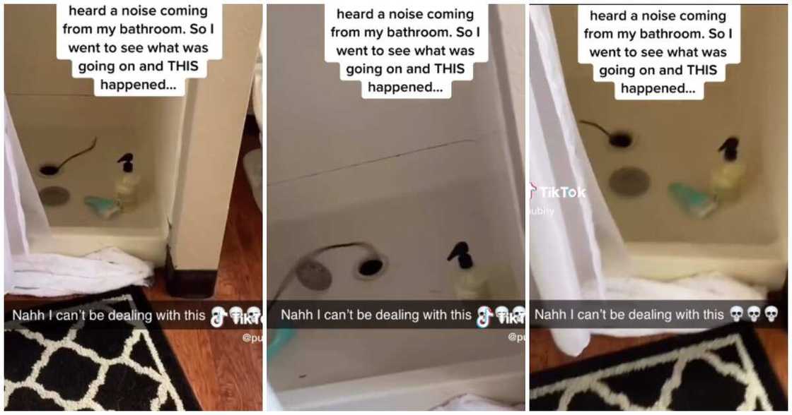 Bathroom, lady, noise, plumbing snake Bathroom, lady, noise, plumbing snake