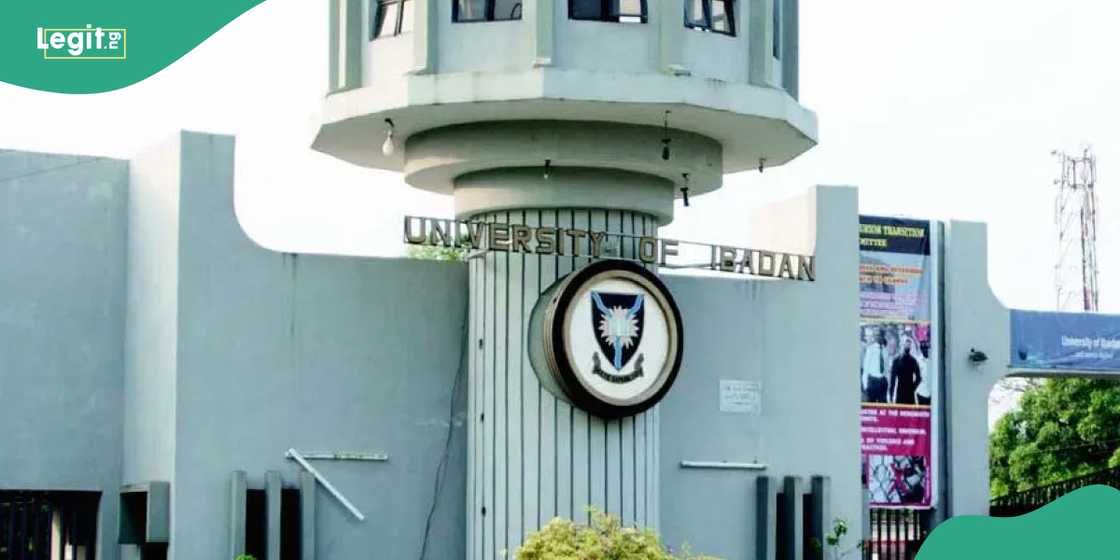 As deadline for school fees gets closer, UNIBADAN students appeal for support As deadline for school fees gets closer, UNIBADAN students appeal for support