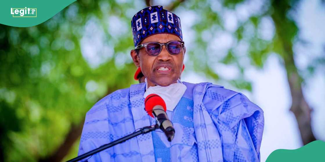 Buhari's aide came up with Villa rat invasion story to cover for former president illness Buhari's aide came up with Villa rat invasion story to cover for former president illness
