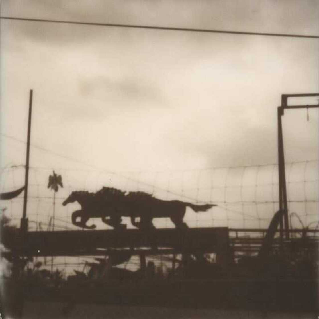 Susan Mikula art Susan Mikula art