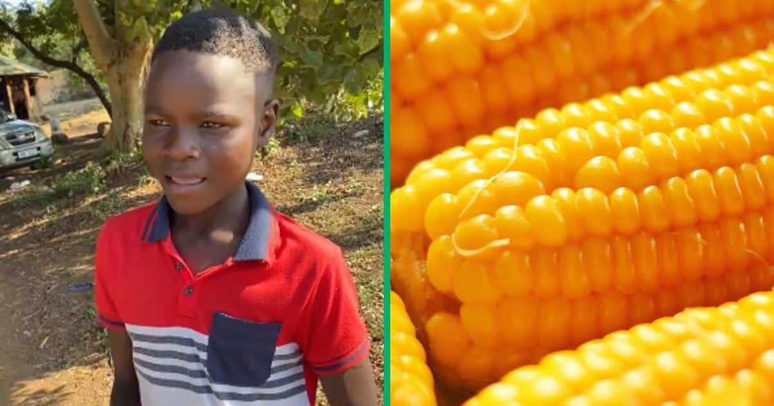 A young man who sold maize on the streets was happy after BI Phakathi gave him a lot of money. A young man who sold maize on the streets was happy after BI Phakathi gave him a lot of money.
