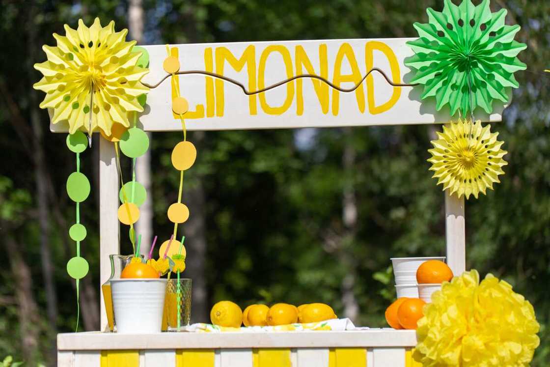 Selling lemonade in a summer park Selling lemonade in a summer park