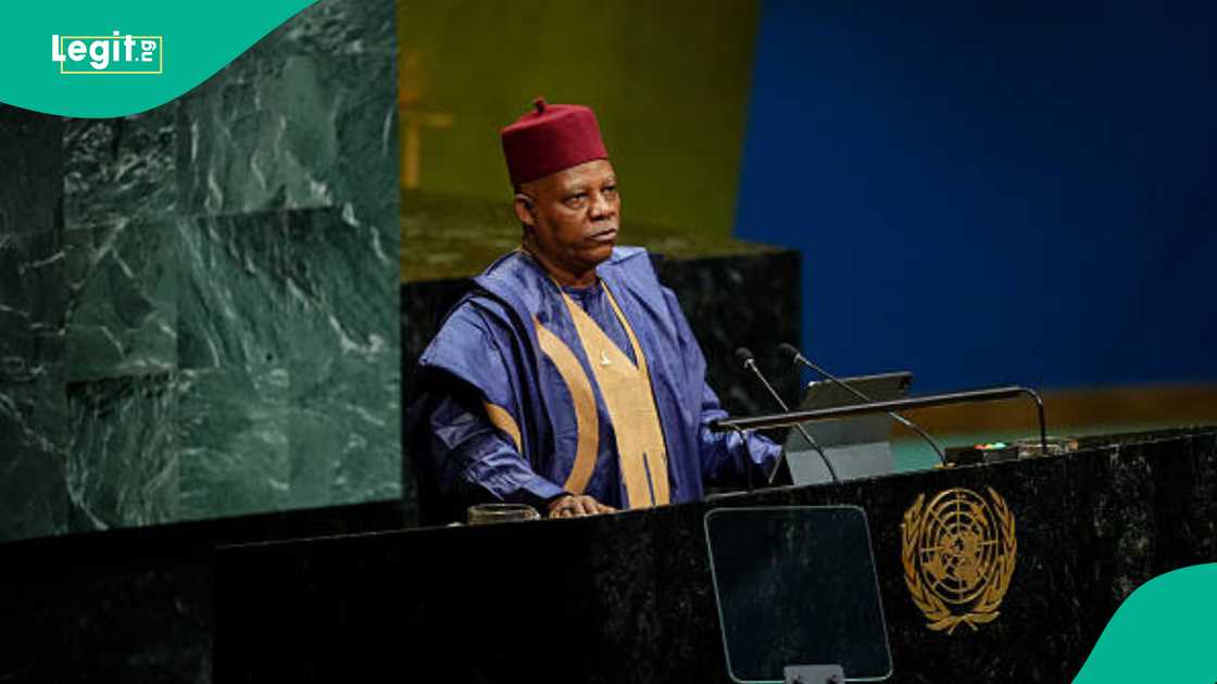 Shettima