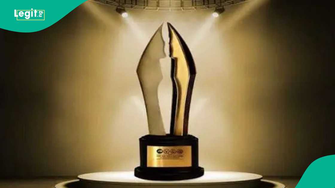 To Killl A Monkey, Gingerr, Colours of Fire earn multiple AMVCA nominations To Killl A Monkey, Gingerr, Colours of Fire earn multiple AMVCA nominations