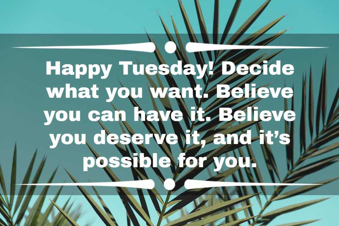 Tuesday motivation