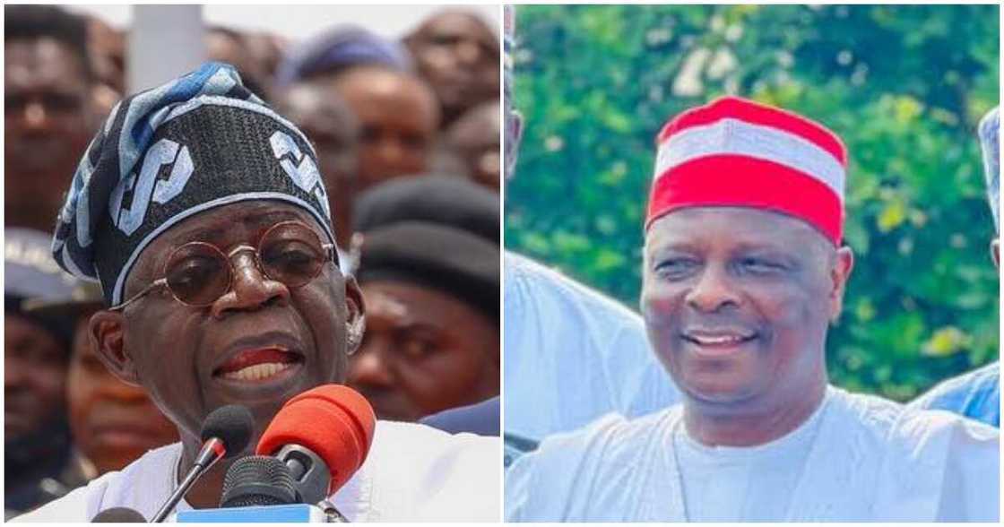 tinubu/tinubu news/tinubu news today tinubu/tinubu news/tinubu news today