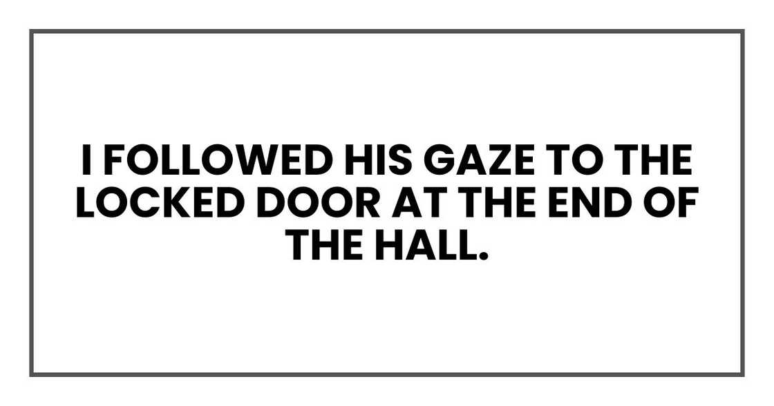 I followed his gaze to the locked door at the end of the hall.