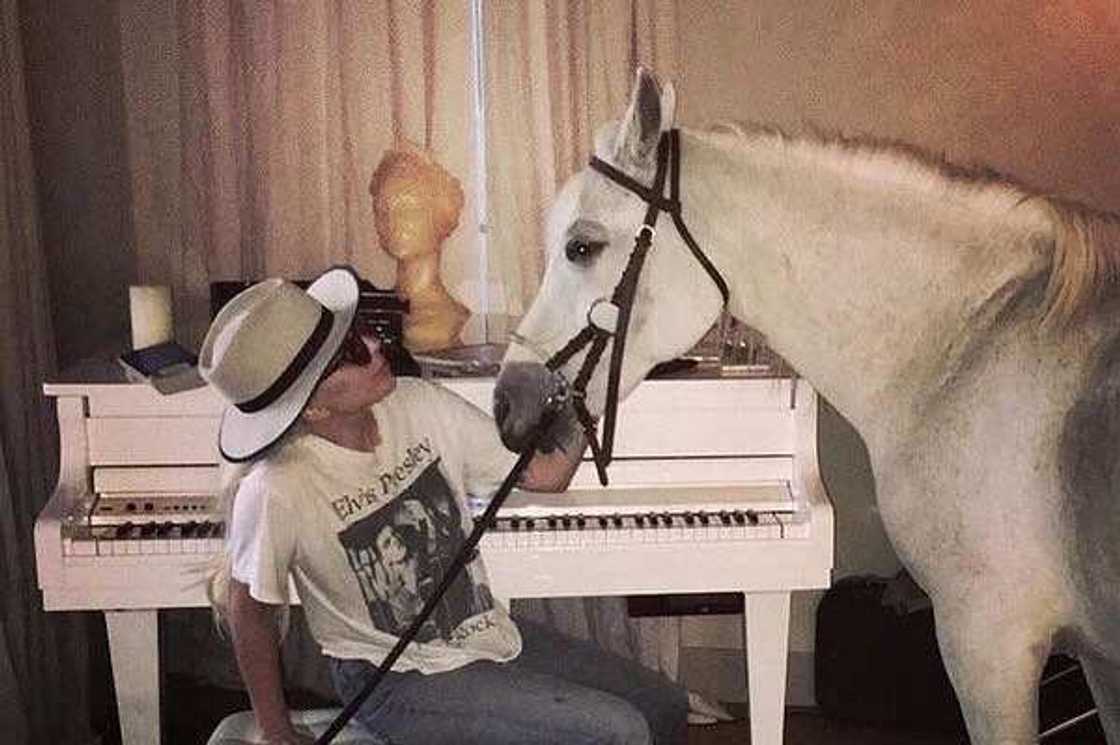 Lady Gaga name Lady Gaga name