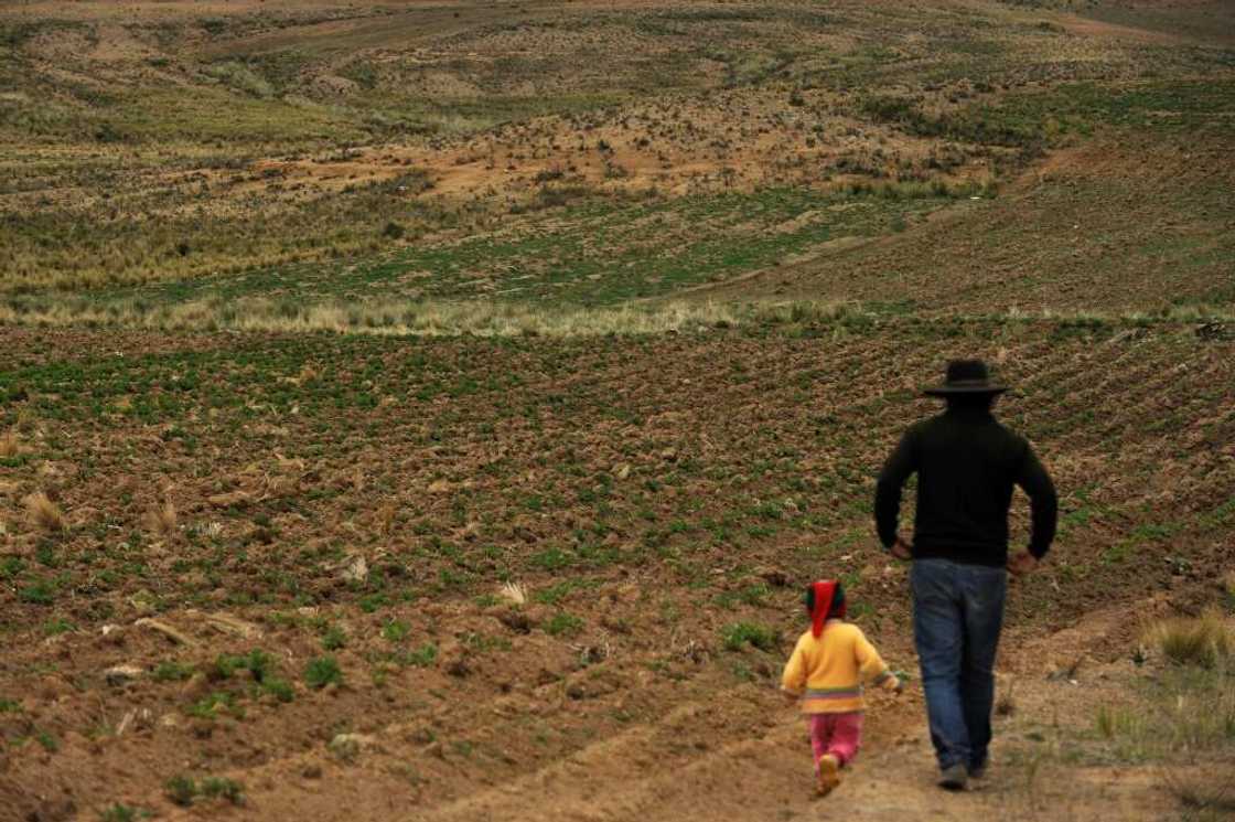 Normally, the region receives up to 70 percent of its annual rainfall between November and March, but in 2022, it came only at the end of December Normally, the region receives up to 70 percent of its annual rainfall between November and March, but in 2022, it came only at the end of December