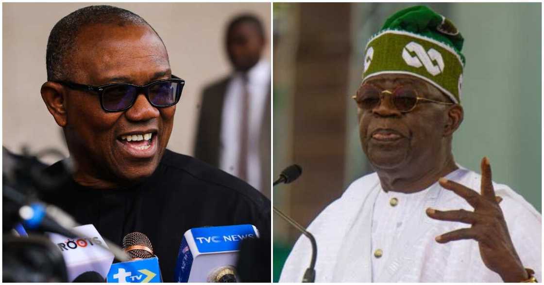 Fuel Subsidy Removal/President Tinubu/Peter Obi Fuel Subsidy Removal/President Tinubu/Peter Obi